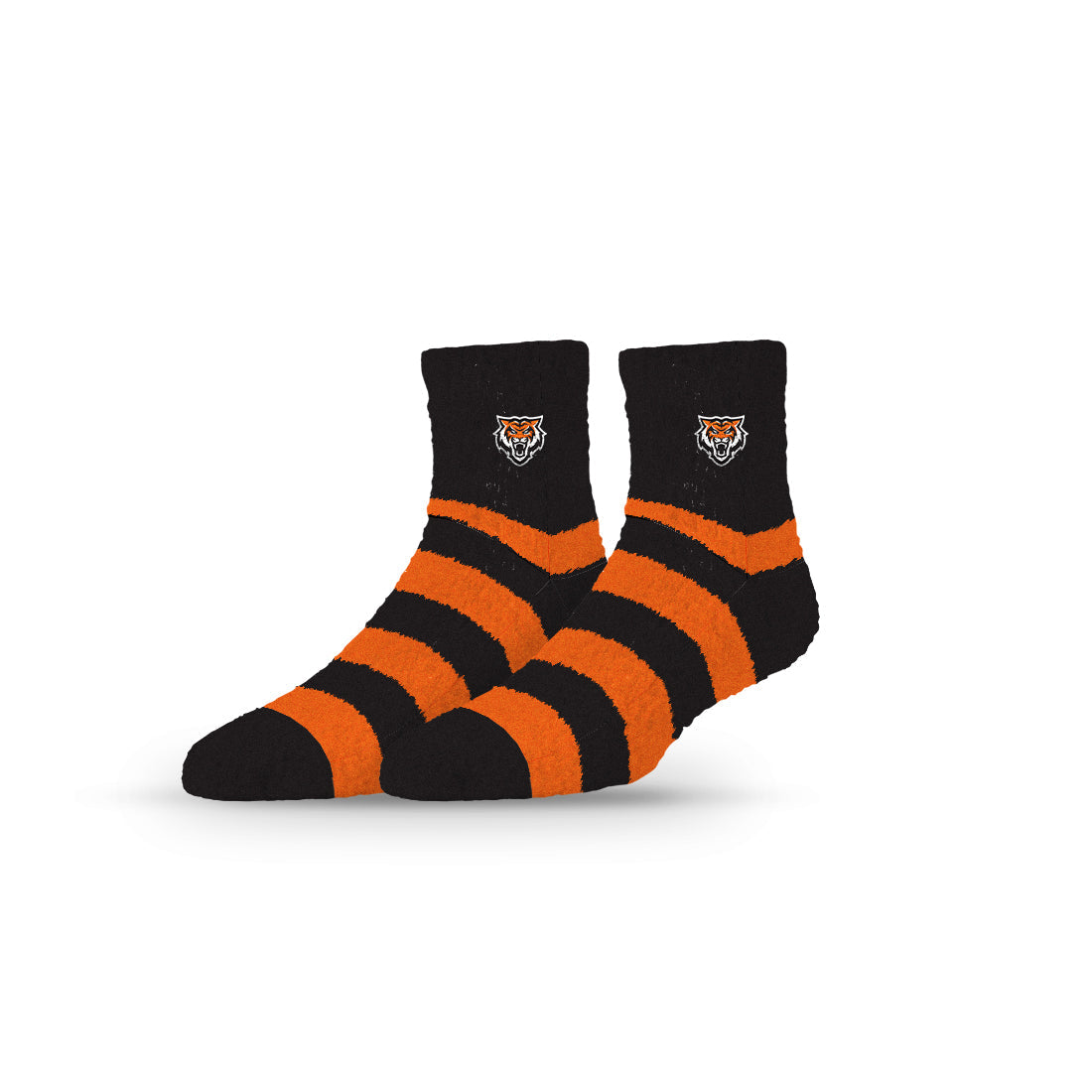 Idaho State University