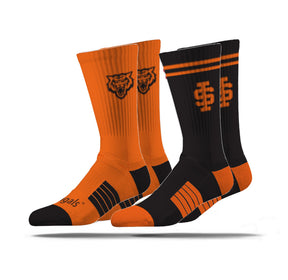 Idaho State University