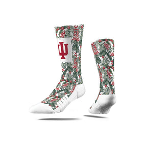 Indiana University