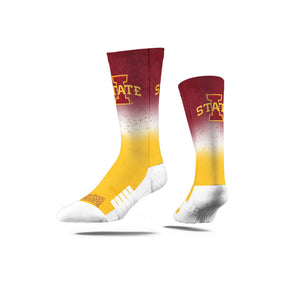 Iowa State University