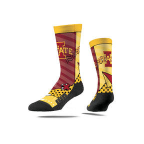 Iowa State University