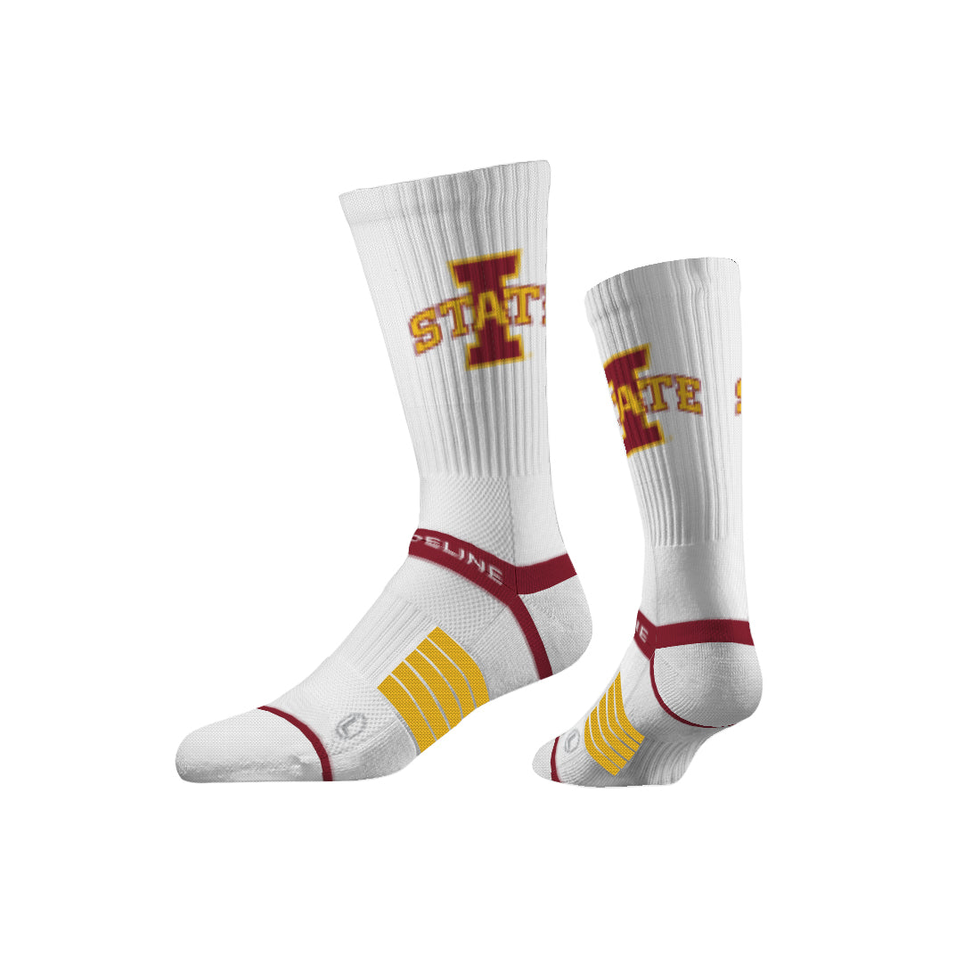Iowa State University