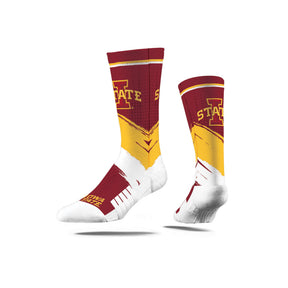 Iowa State University