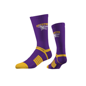 Kansas Wesleyan University