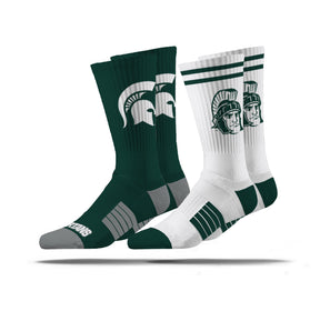 Michigan State University