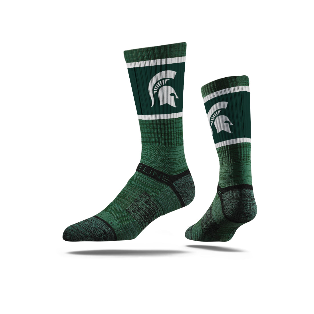 Michigan State University