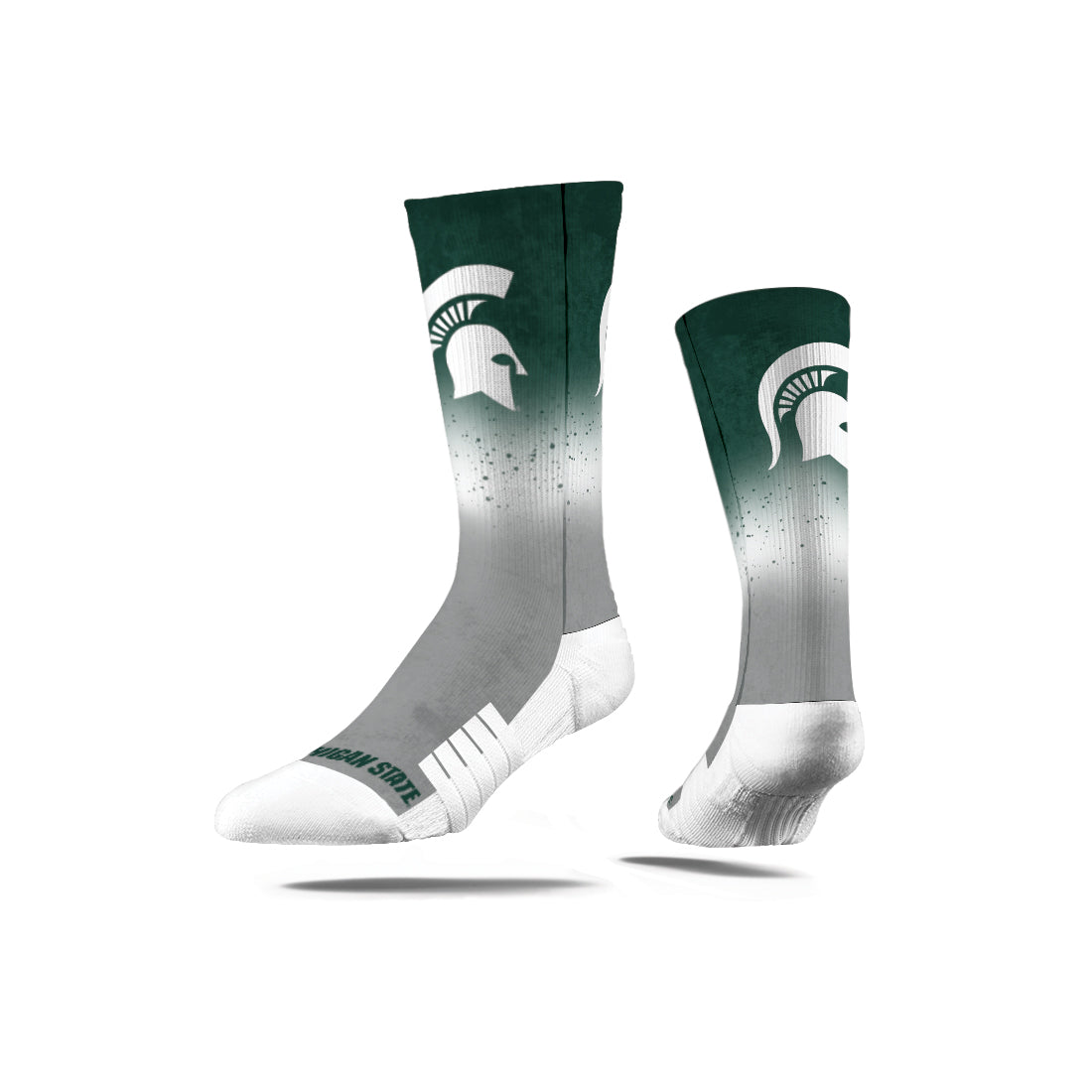 Michigan State University