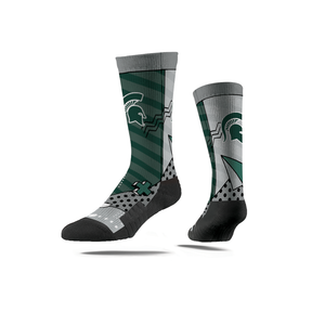 Michigan State University