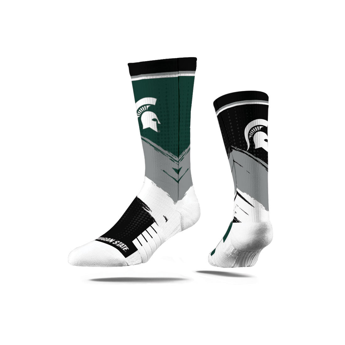 Michigan State University