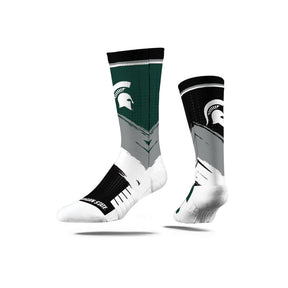 Michigan State University