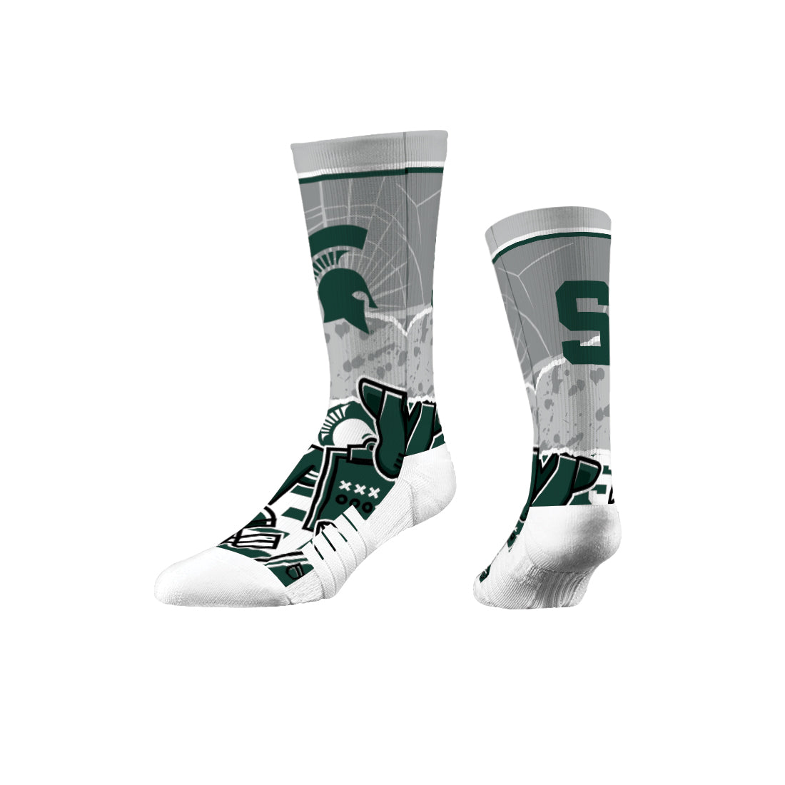 Michigan State University
