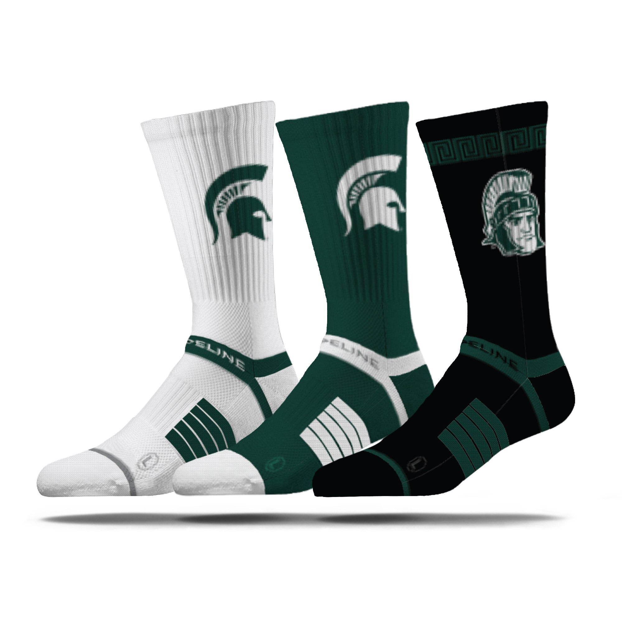 Michigan State University