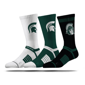 Michigan State University