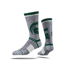 Michigan State University