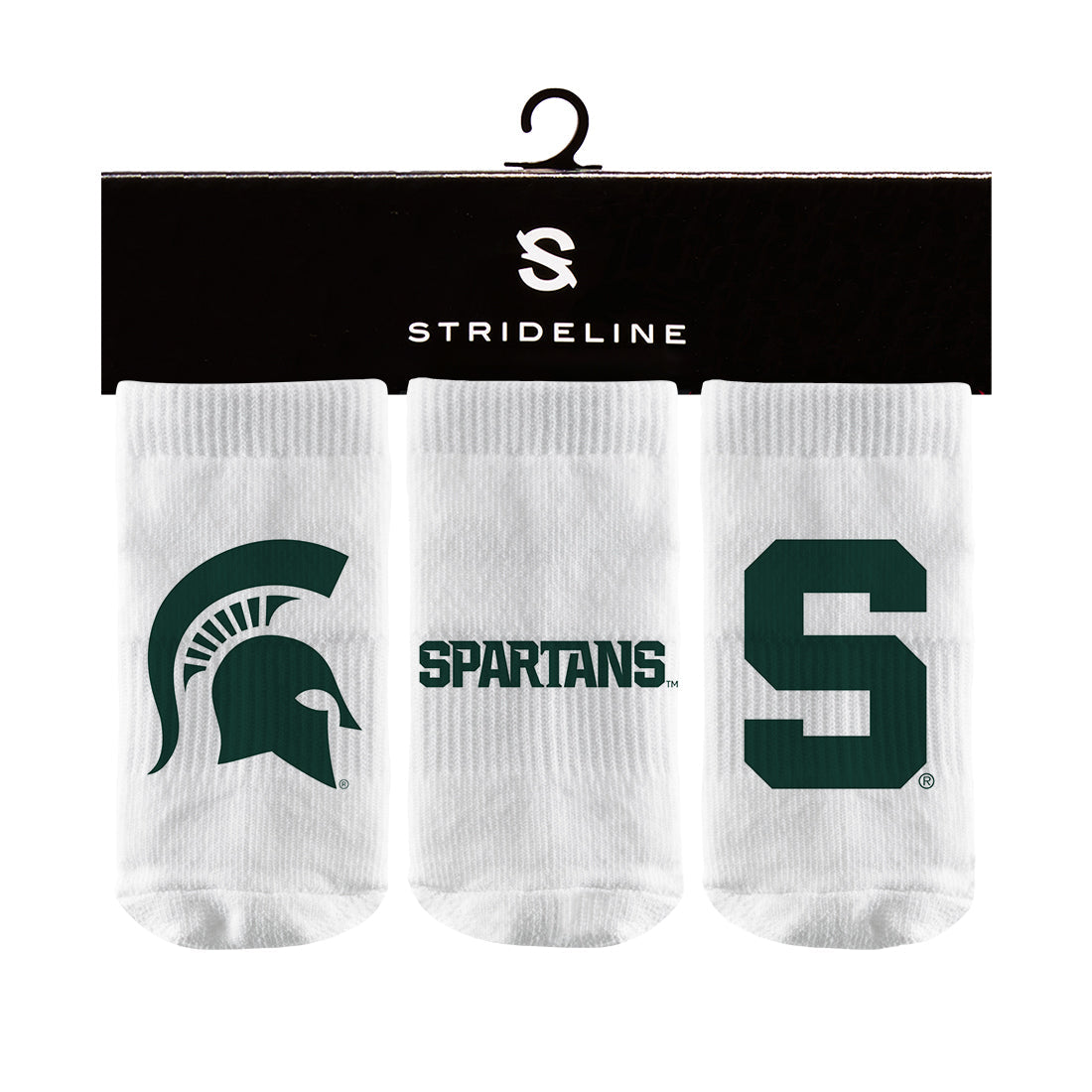 Michigan State University