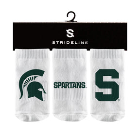 Michigan State University