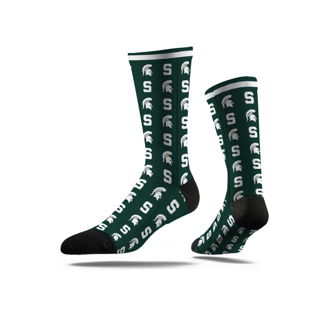 Michigan State University