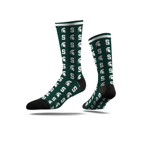 Michigan State University