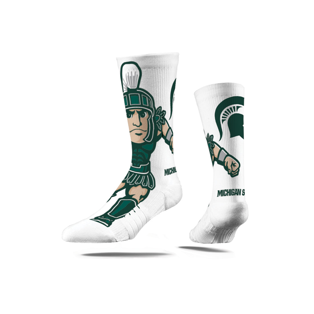 Michigan State University