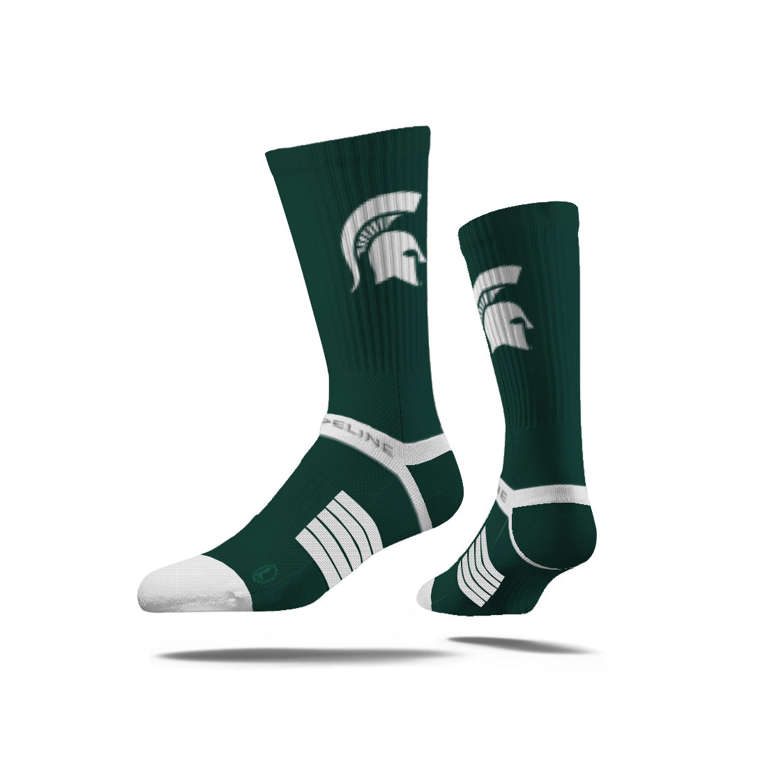 Michigan State University