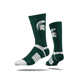 Michigan State University
