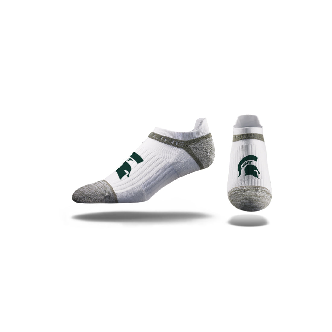 Michigan State University