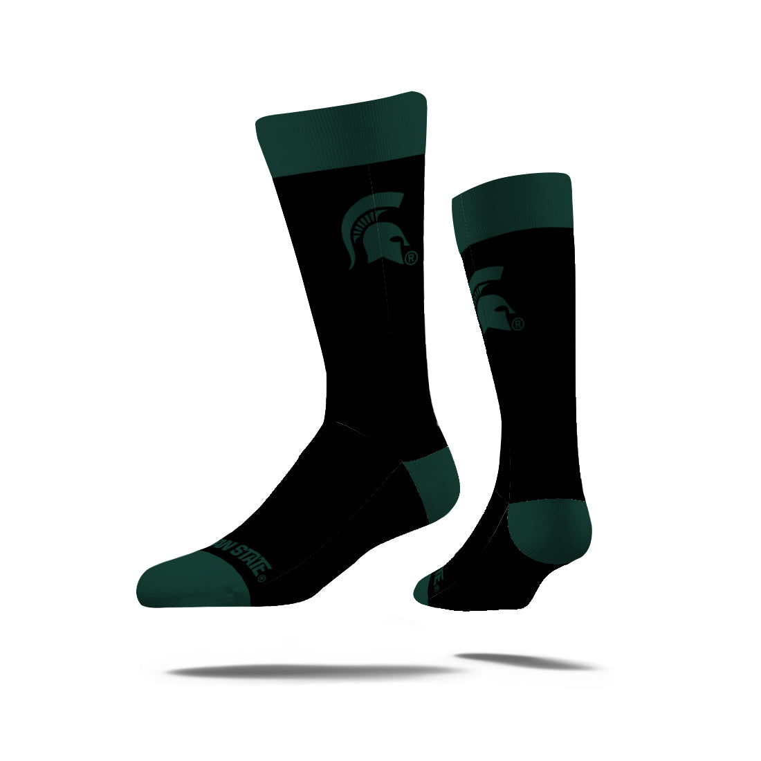 Michigan State University