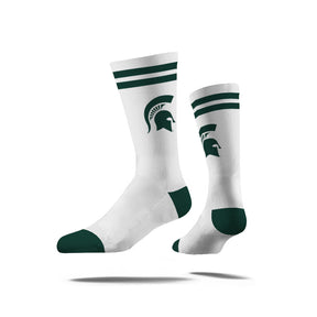 Michigan State University