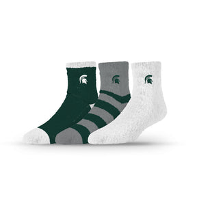 Michigan State University