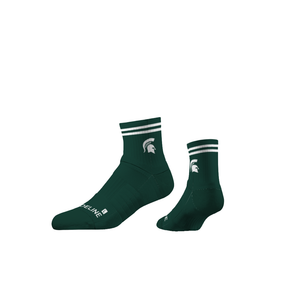 Michigan State University