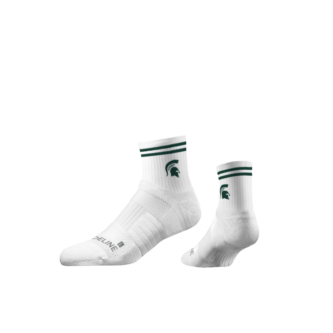 Michigan State University