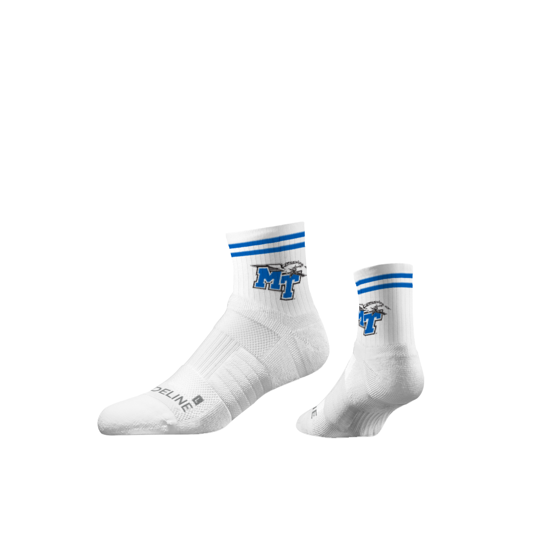 Middle Tennessee State University