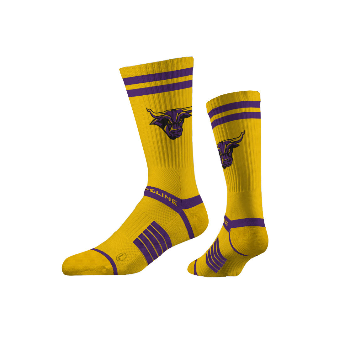 Minnesota State University Mankato