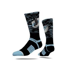 Minnesota United FC