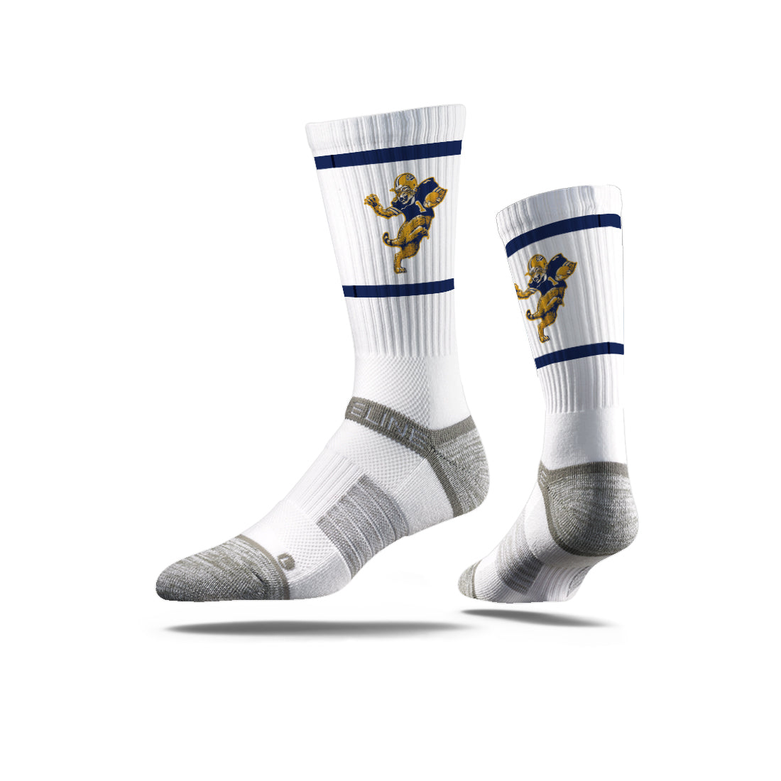 Montana State University