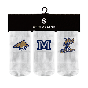 Montana State University