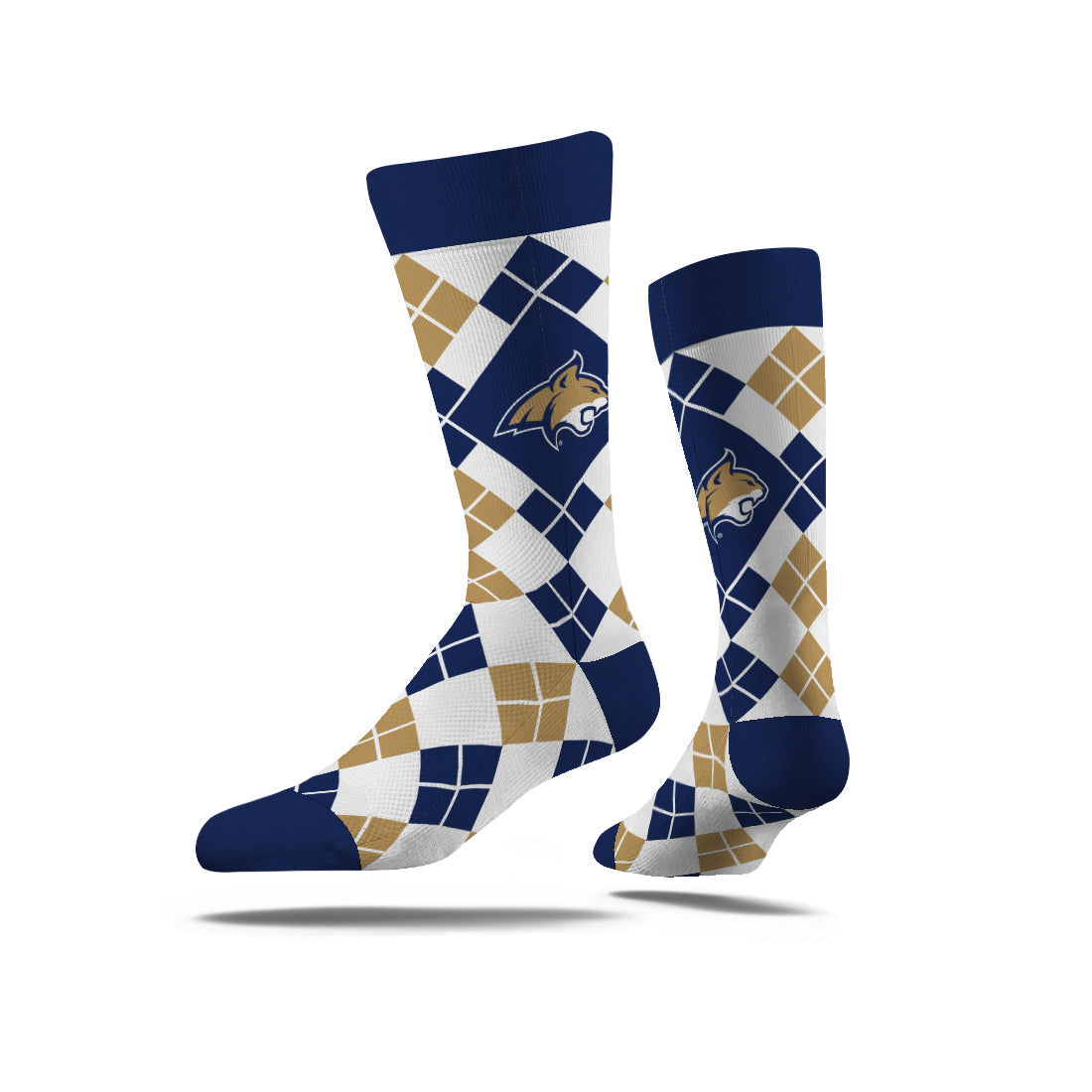 Montana State University