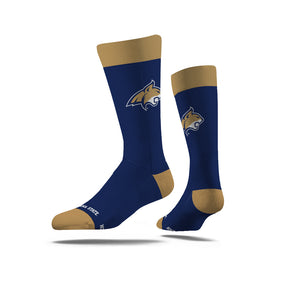Montana State University