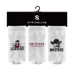 New Mexico State University