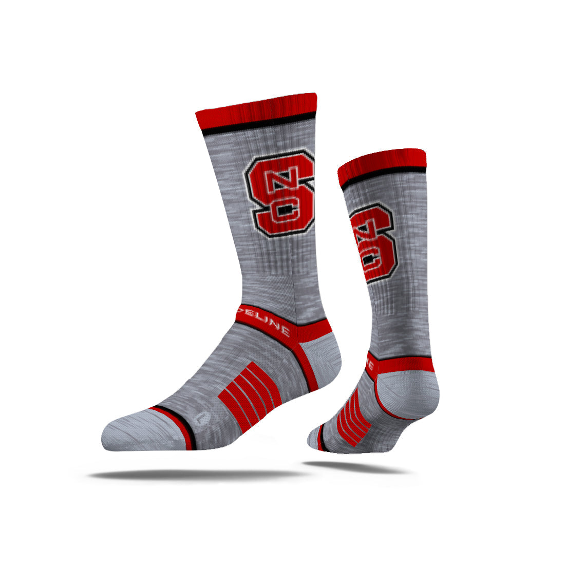 North Carolina State University