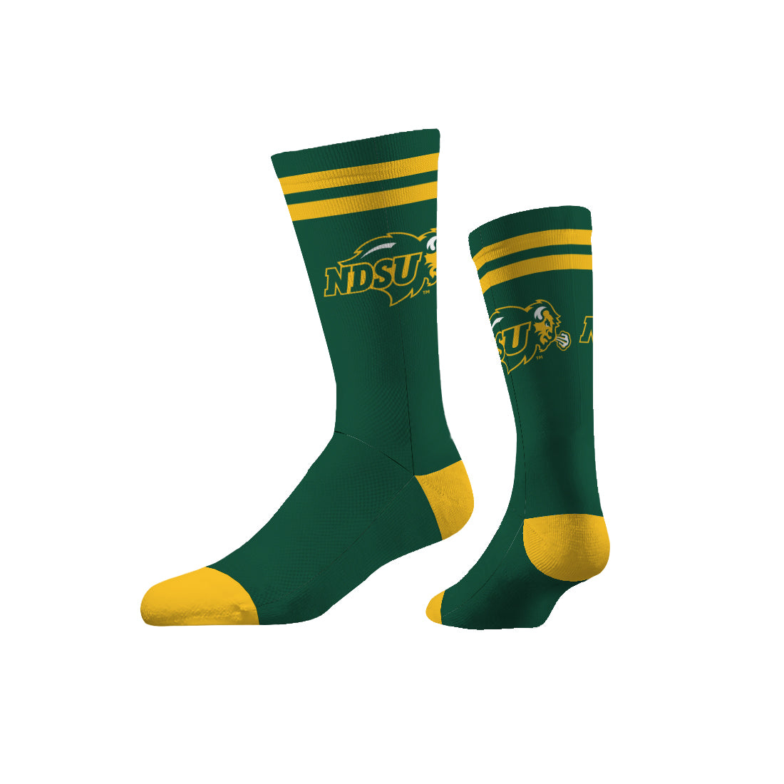 North Dakota State University