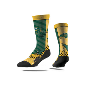 North Dakota State University