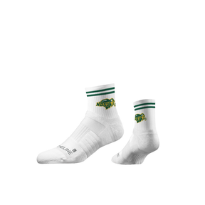 North Dakota State University