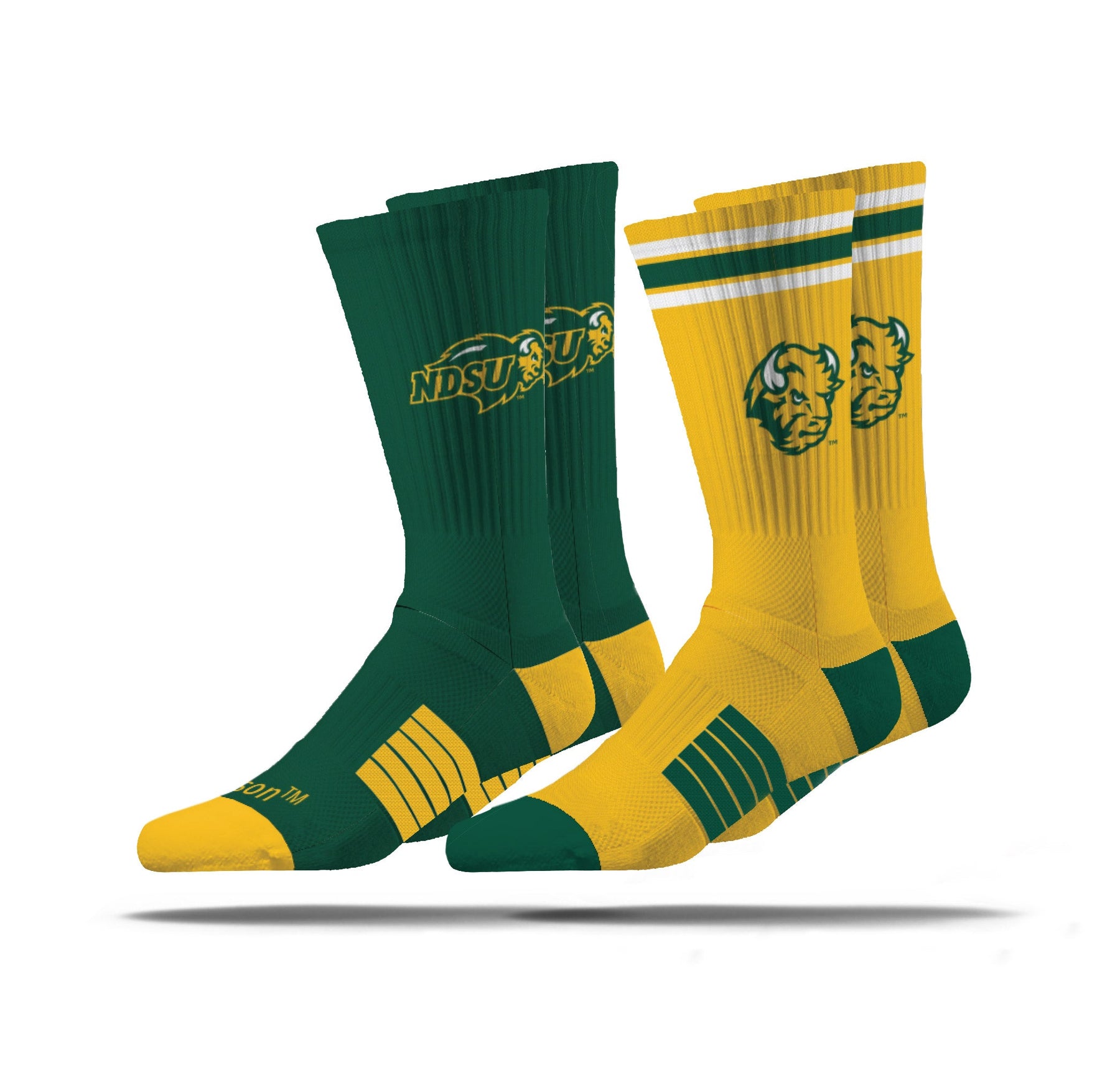 North Dakota State University