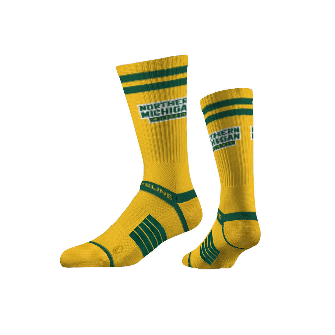 Northern Michigan University