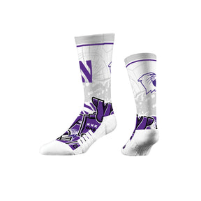 Northwestern University