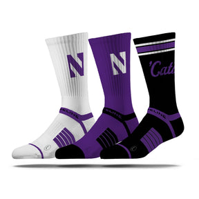 Northwestern University