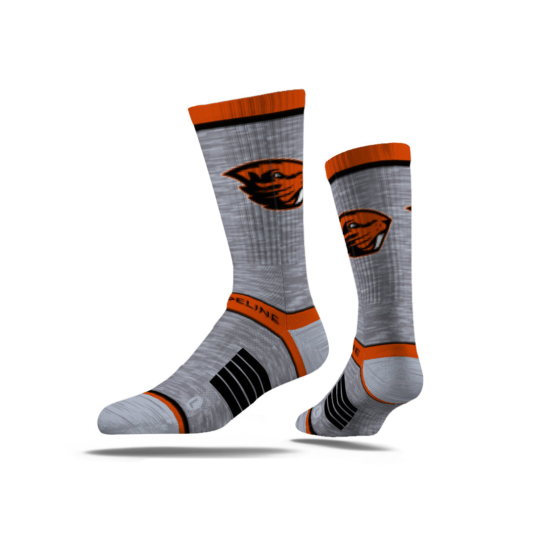 Oregon State University