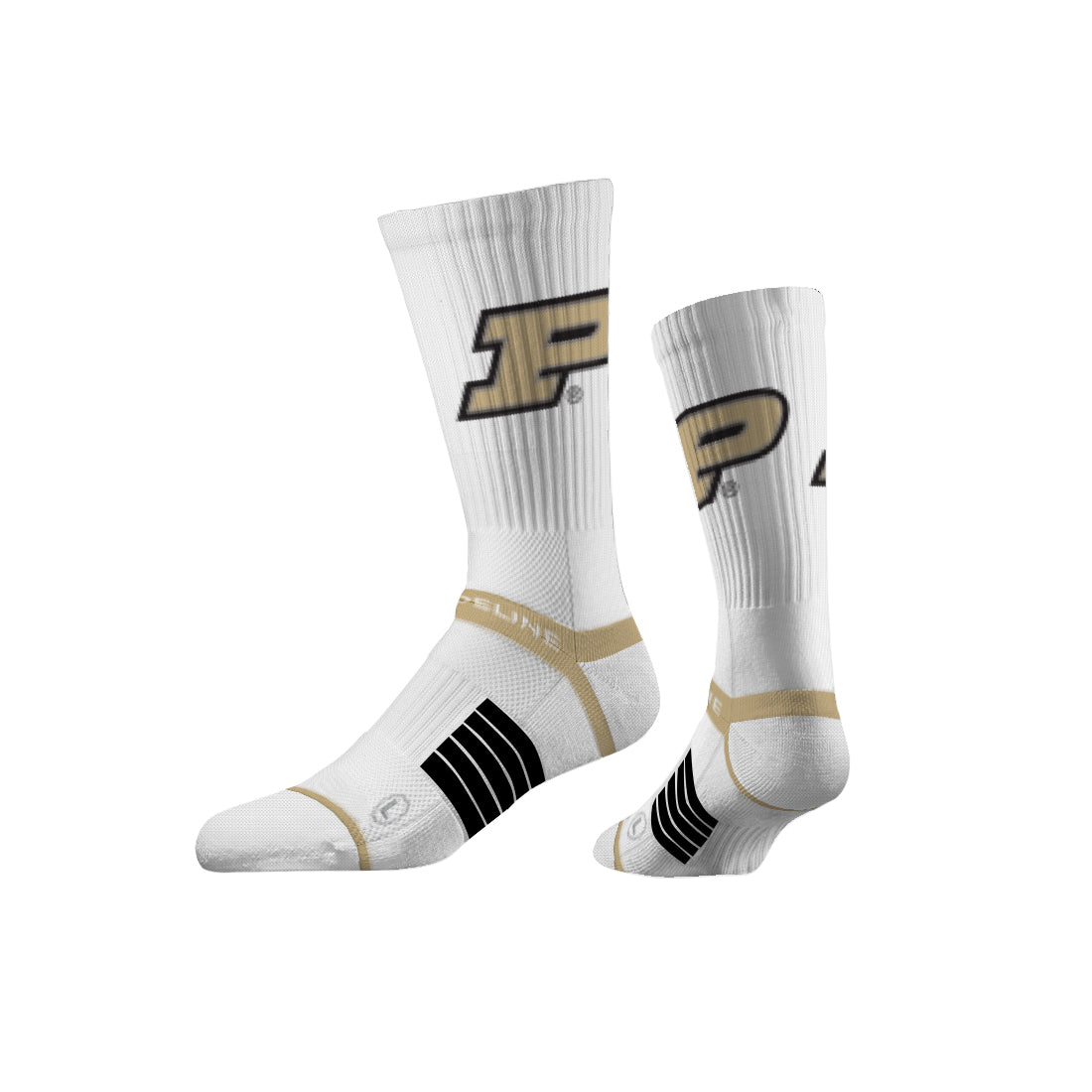 Purdue University