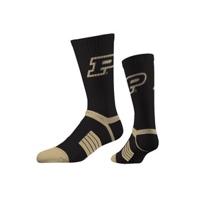 Purdue University